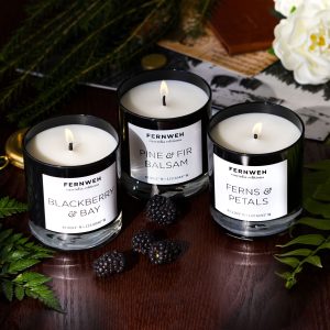 Pine & Fir Balsam Scented Soy Candle - 3 Classic Set