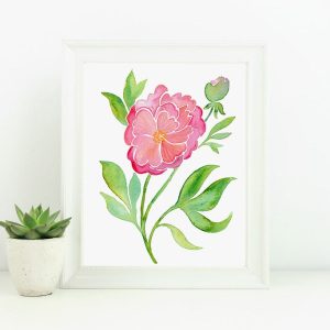 Peony Painting, Pink Green and White White Floral Art - 13x19